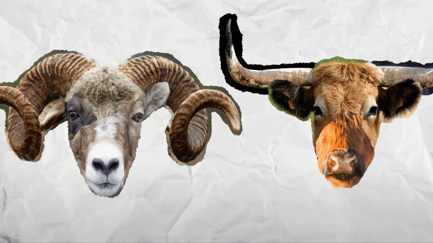 April Horoscopes