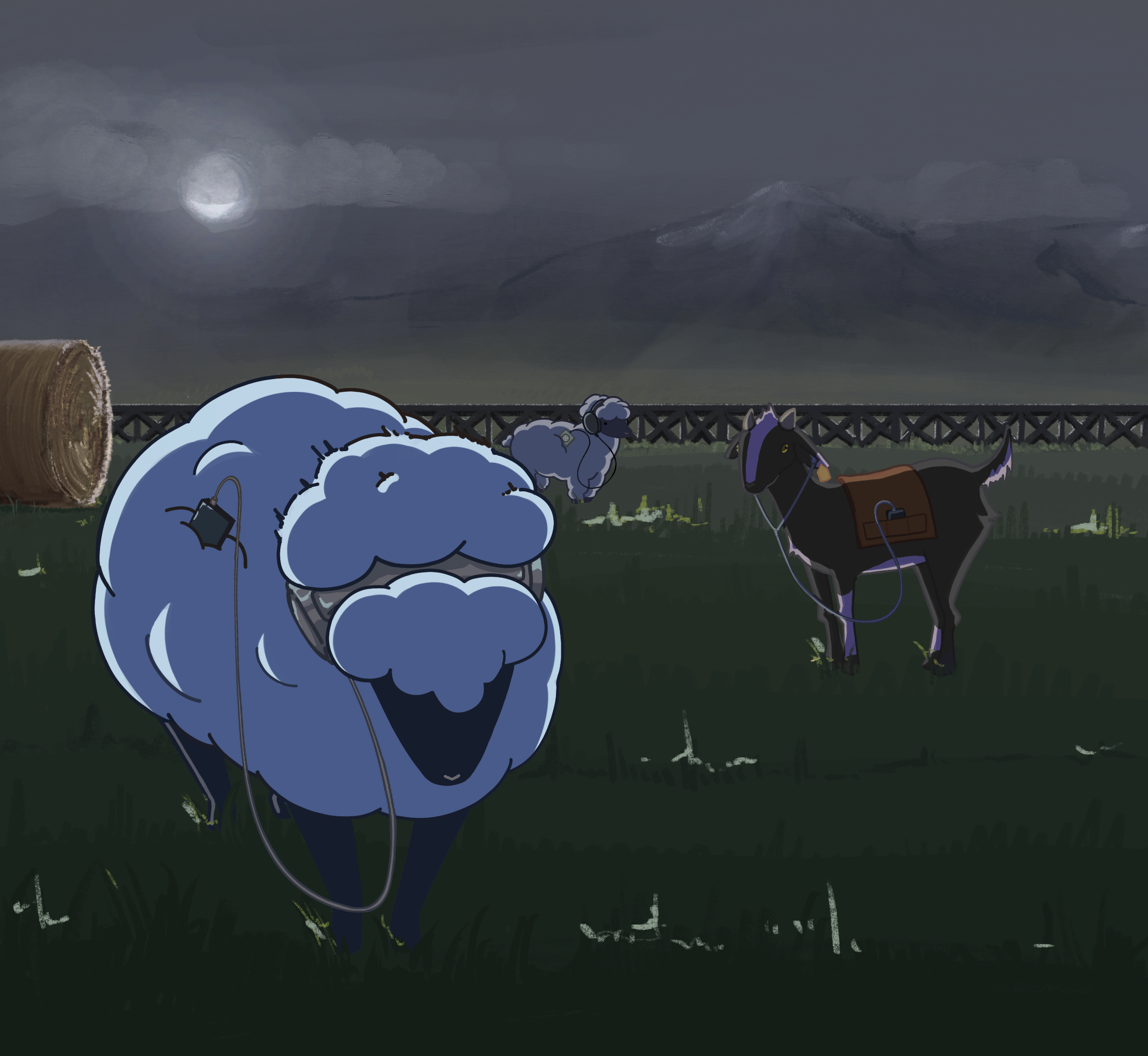 Punk Show While the Cattle Sleep