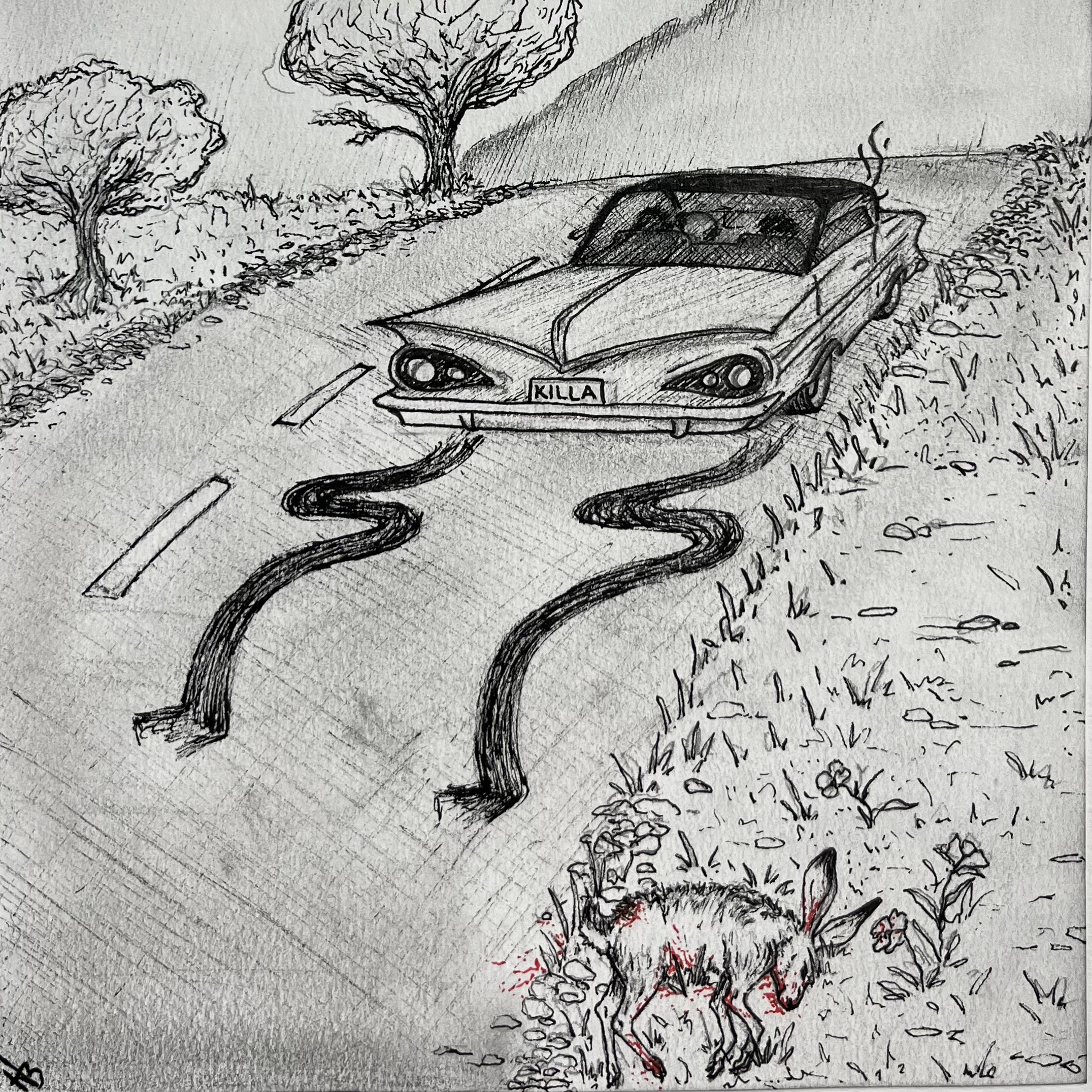 An Ode To Roadkill