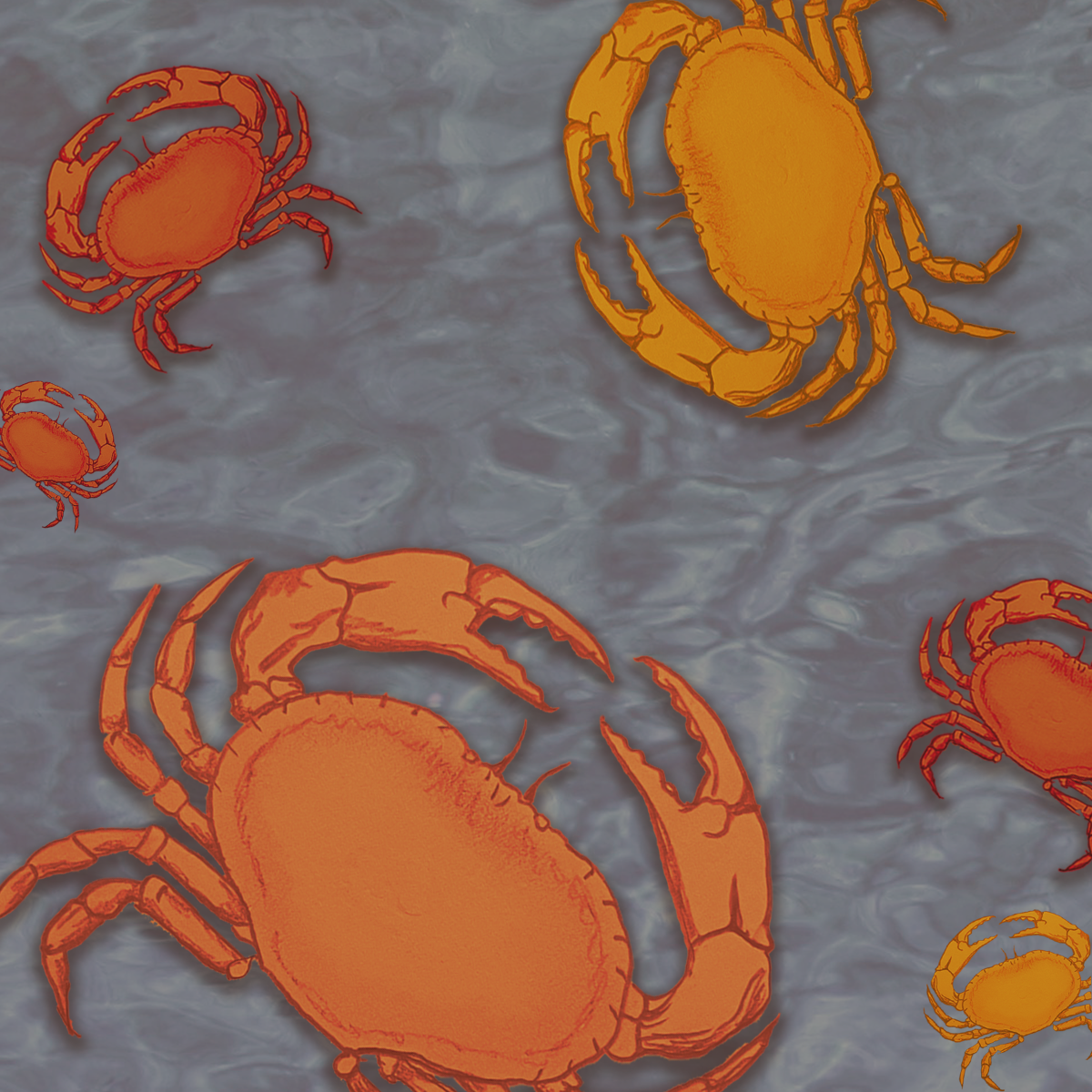 June Horoscopes